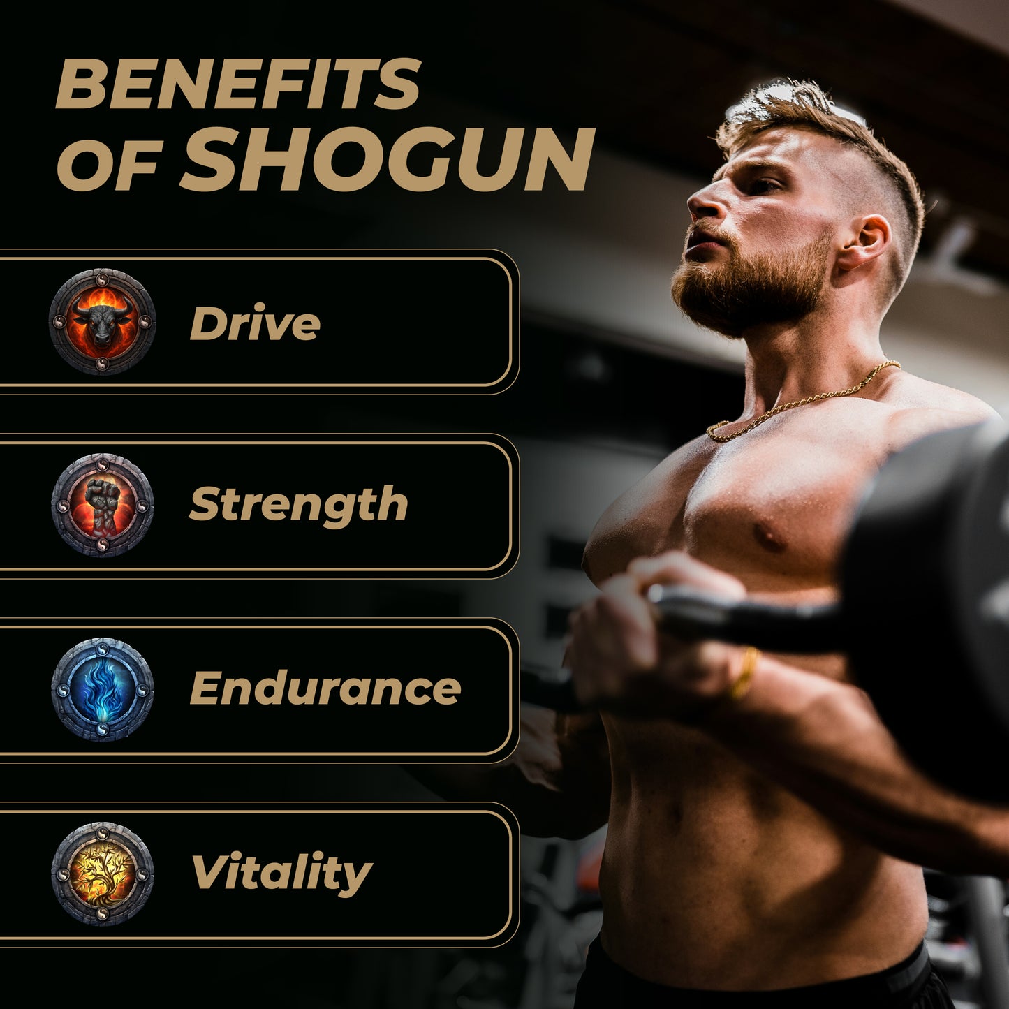 Shogun - Alpha Activator
