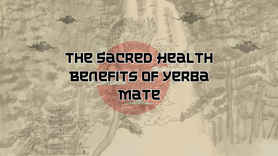 The Sacred Health Benefits of Yerba Mate